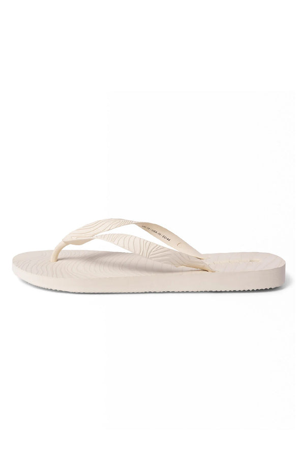 SLEEPERS Men Regular Eggnog Flip Flops